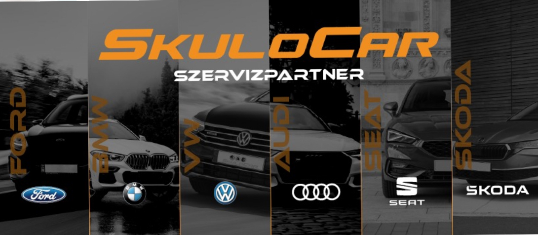 Szakszervíz